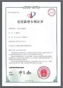certificate 16